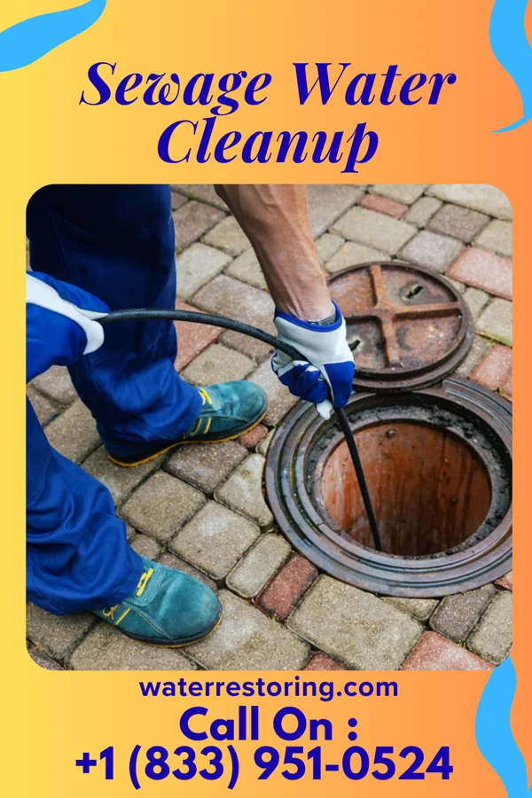 Sewage Water Cleanup in East Missoula, MT